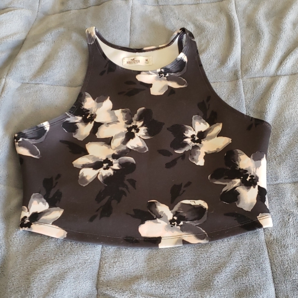 Hollister Crop Top